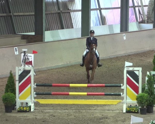 Reitturnier Bonn - Gut Ettenhausen 2017