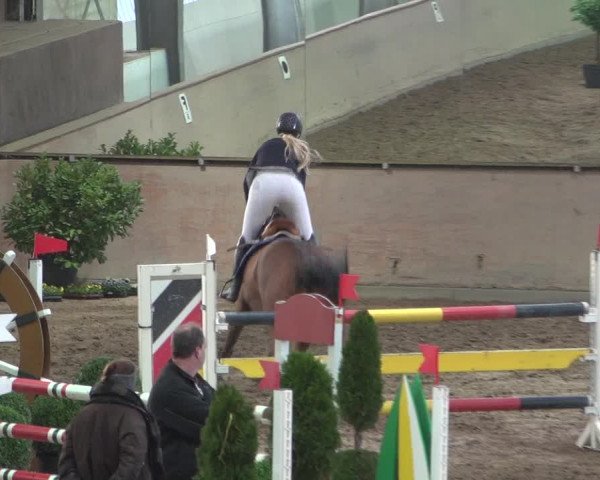 Reitturnier Bonn - Gut Ettenhausen 2017