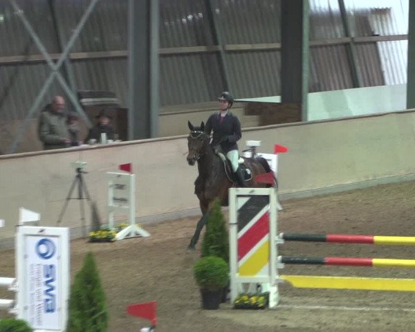 Reitturnier Bonn - Gut Ettenhausen 2017