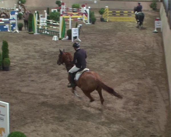 Reitturnier Bonn - Gut Ettenhausen 2017