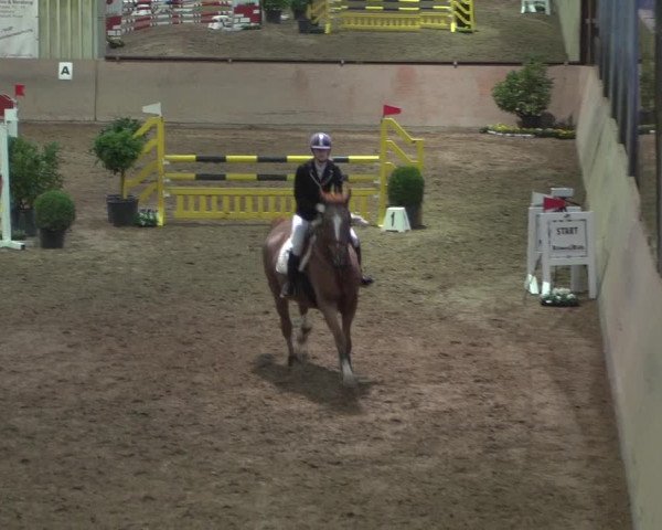 Reitturnier Bonn - Gut Ettenhausen 2017
