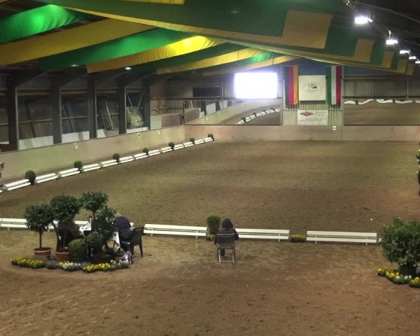 Reitturnier Bonn - Gut Ettenhausen 2017