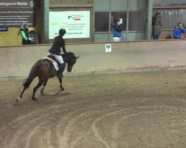 Reitturnier Bonn - Gut Ettenhausen 2017