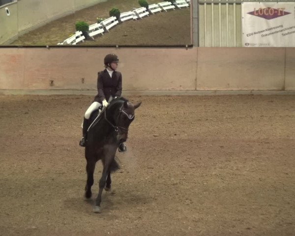 Reitturnier Bonn - Gut Ettenhausen 2017