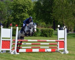 jumper Let me Fly (Mecklenburg, 2013, from Levisonn 208 FIN)