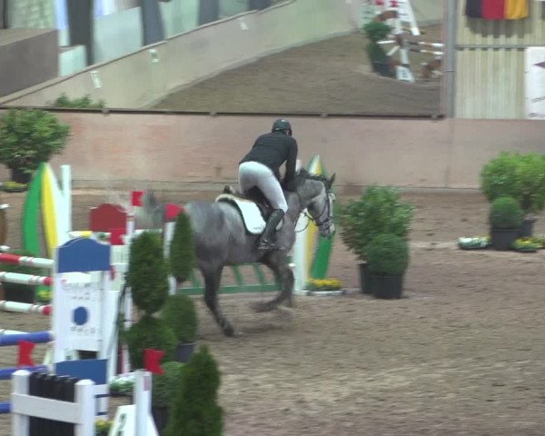 Reitturnier Bonn - Gut Ettenhausen 2017
