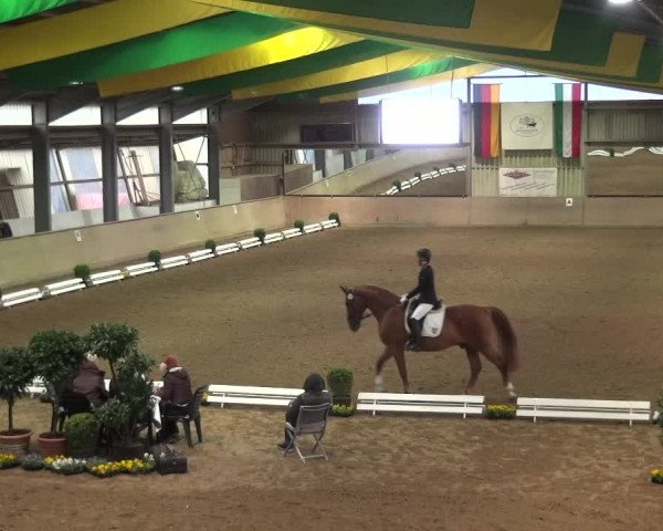 Reitturnier Bonn - Gut Ettenhausen 2017