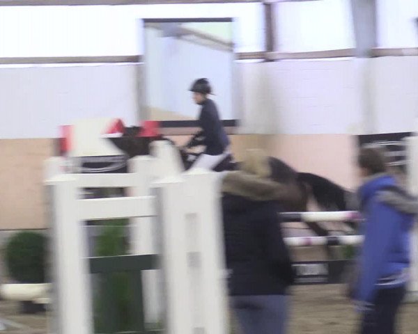 Reitturnier Datteln 2017