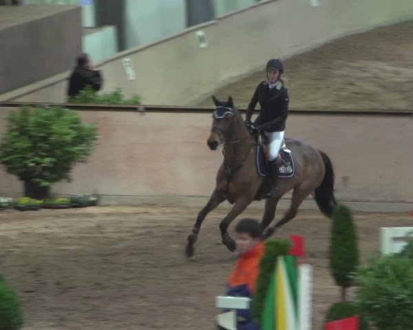 Reitturnier Bonn - Gut Ettenhausen 2017