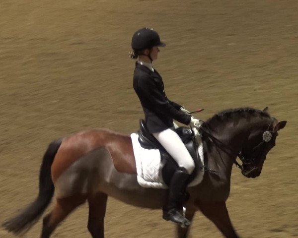 Reitturnier Bonn - Gut Ettenhausen 2017