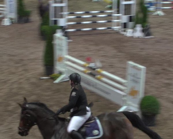 Reitturnier Bonn - Gut Ettenhausen 2017