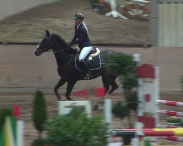 Reitturnier Bonn - Gut Ettenhausen 2017