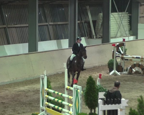 Reitturnier Bonn - Gut Ettenhausen 2017
