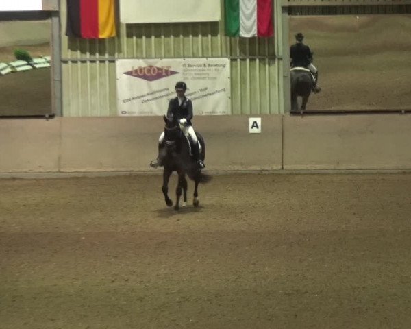 Reitturnier Bonn - Gut Ettenhausen 2017
