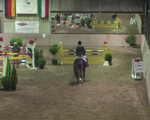 Reitturnier Bonn - Gut Ettenhausen 2017