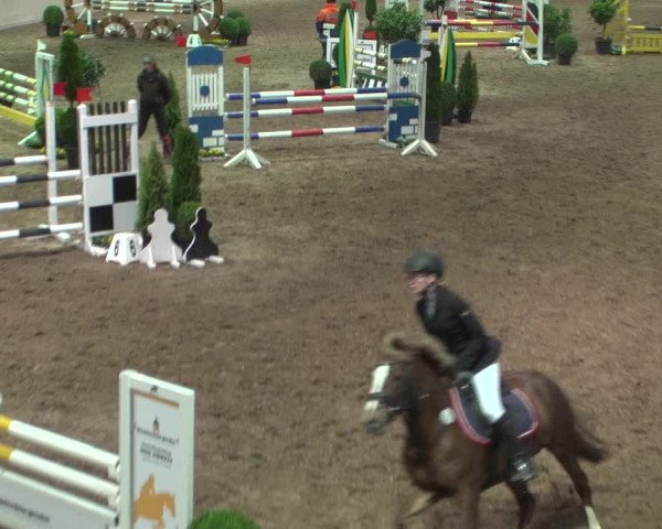 Reitturnier Bonn - Gut Ettenhausen 2017