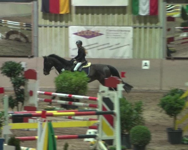 Reitturnier Bonn - Gut Ettenhausen 2017