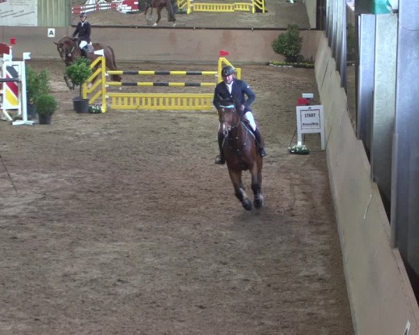 Reitturnier Bonn - Gut Ettenhausen 2017