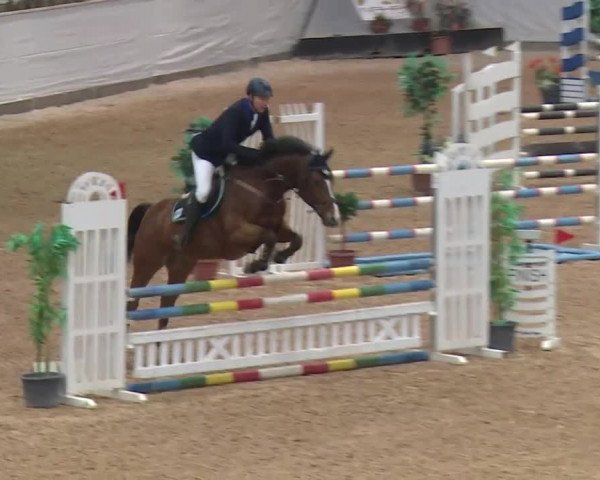 Reitturnier Kreuth 2017