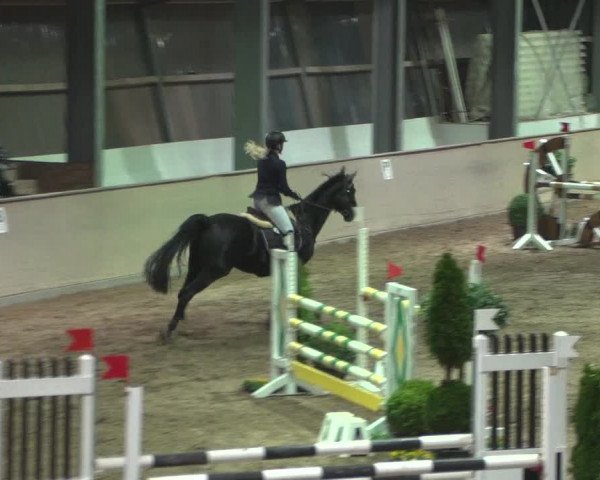 Reitturnier Bonn - Gut Ettenhausen 2017