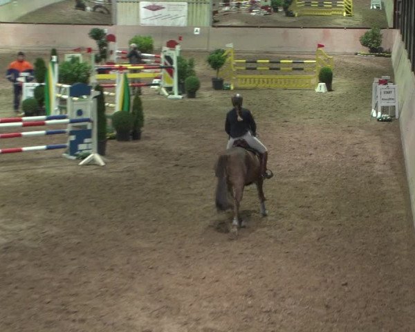 Reitturnier Bonn - Gut Ettenhausen 2017