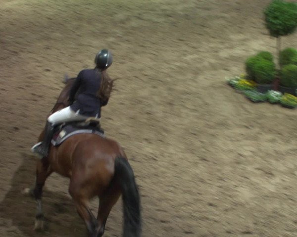 Reitturnier Bonn - Gut Ettenhausen 2017