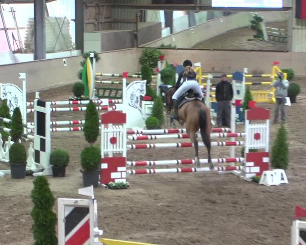 Reitturnier Bonn - Gut Ettenhausen 2017