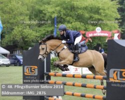 jumper Alabama 69 (Pony without race description, 2009)