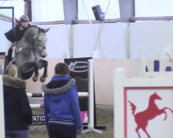 Reitturnier Datteln 2017