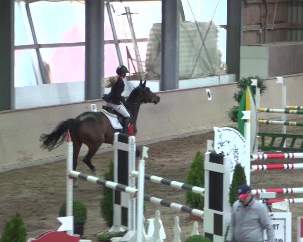 Reitturnier Bonn - Gut Ettenhausen 2017