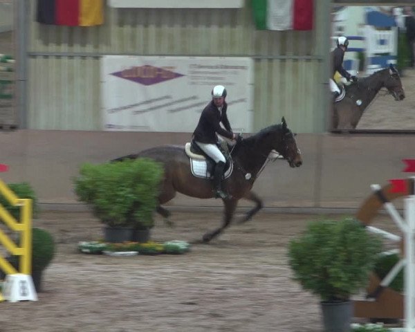 Reitturnier Bonn - Gut Ettenhausen 2017