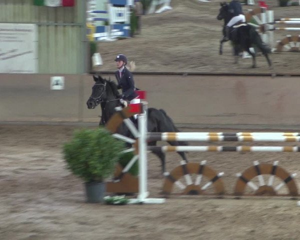 Reitturnier Bonn - Gut Ettenhausen 2017