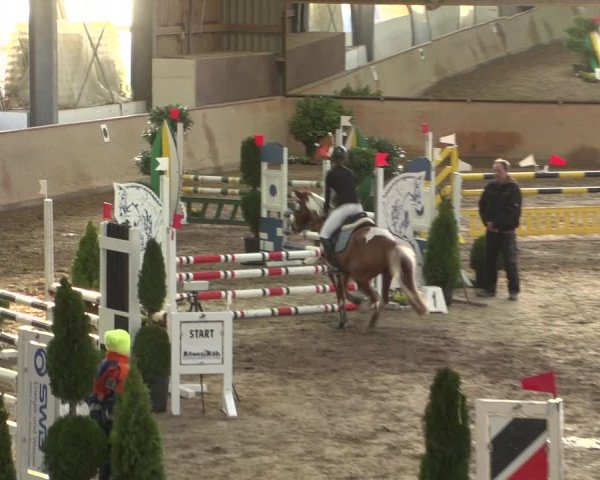 Reitturnier Bonn - Gut Ettenhausen 2017