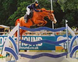 broodmare Castlefield Jess (Irish Sport Horse, 2008, from Obos Quality)