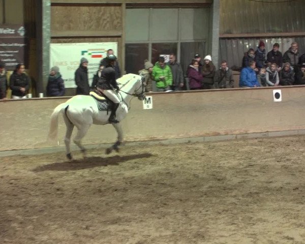 Reitturnier Bonn - Gut Ettenhausen 2017