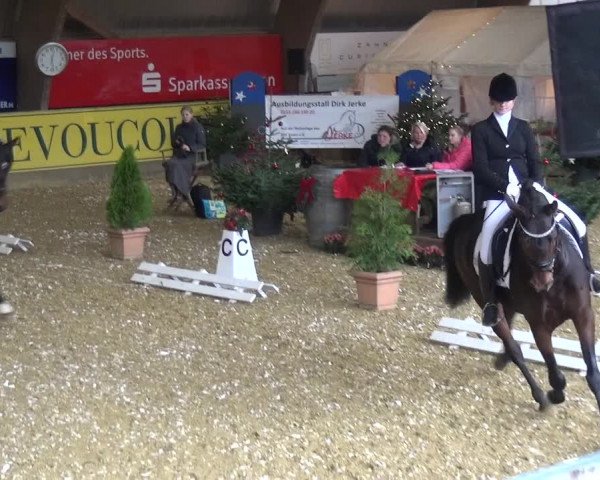 Reitturnier Essen-Stadtwald 2017