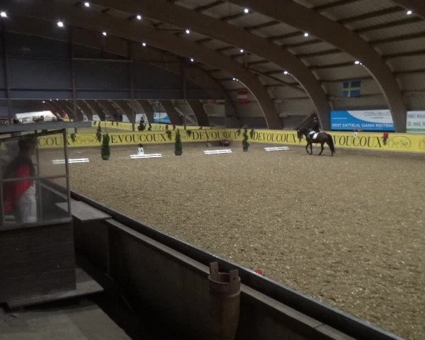 Reitturnier Essen-Stadtwald 2017