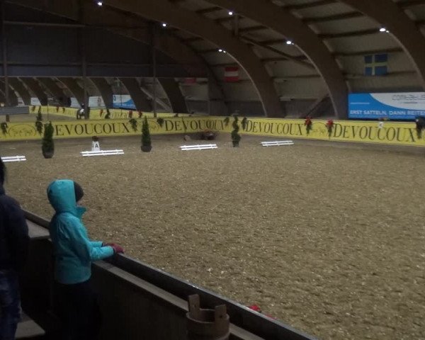 Reitturnier Essen-Stadtwald 2017
