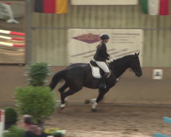 Reitturnier Bonn - Gut Ettenhausen 2017