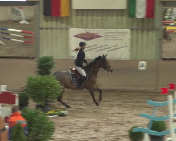 Reitturnier Bonn - Gut Ettenhausen 2017