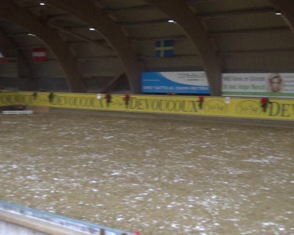 Reitturnier Essen-Stadtwald 2017