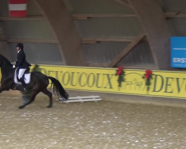 Reitturnier Essen-Stadtwald 2017