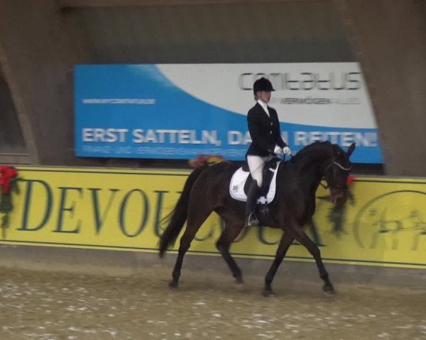 Reitturnier Essen-Stadtwald 2017