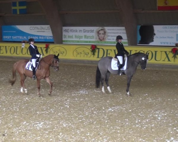 Reitturnier Essen-Stadtwald 2017