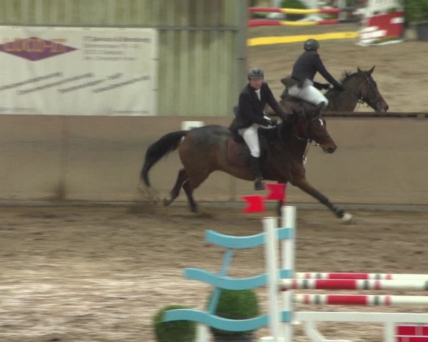 Reitturnier Bonn - Gut Ettenhausen 2017