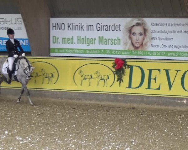 Reitturnier Essen-Stadtwald 2017