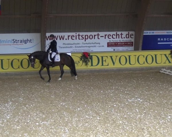 Reitturnier Essen-Stadtwald 2017