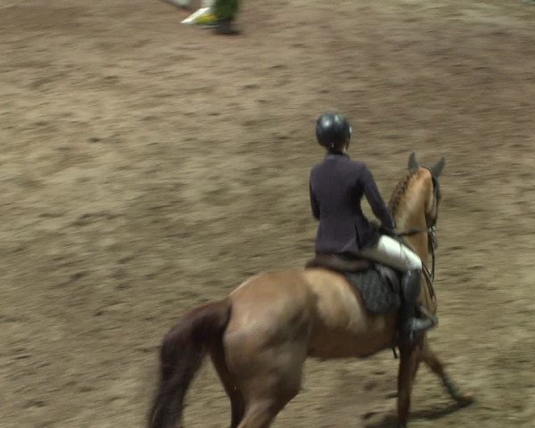 Reitturnier Bonn - Gut Ettenhausen 2017