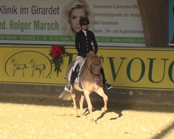 Reitturnier Essen-Stadtwald 2017