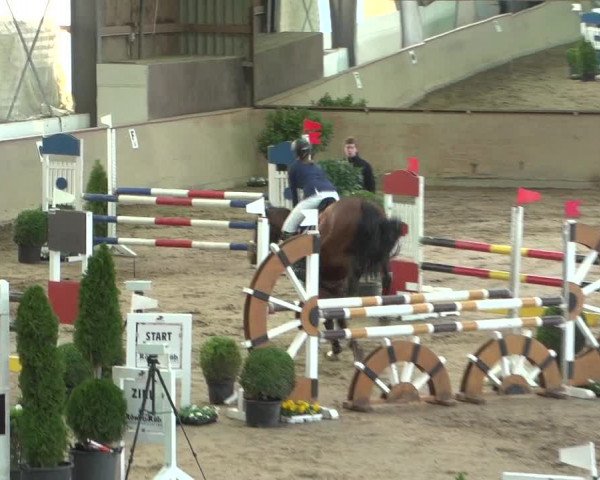 Reitturnier Bonn - Gut Ettenhausen 2017
